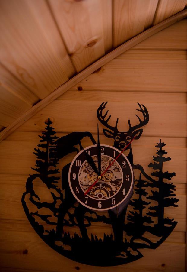 Highland & Transylvania Glamping Pods 罗伊桥 外观 照片